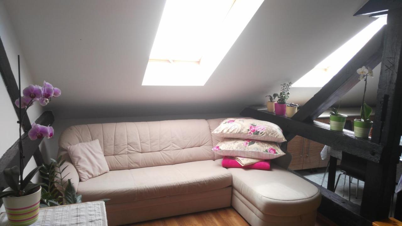 Apartment R&M Pula Dış mekan fotoğraf